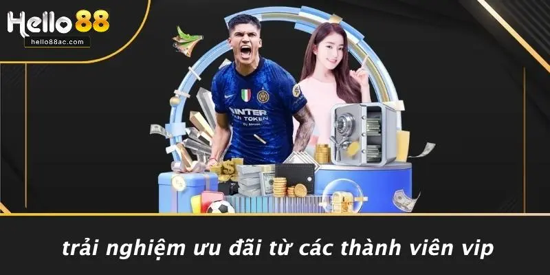 Trải Nghiệm Ưu Đãi Từ Các Thành Viên VIP